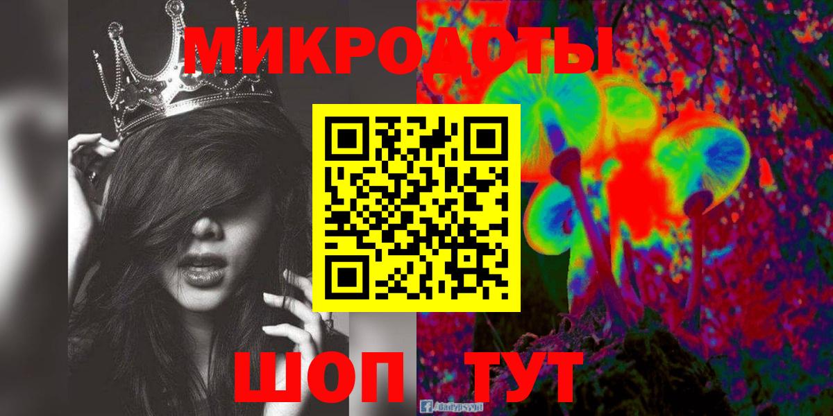 Пугачёв  Псилоцибиновые грибы Magic Shrooms  Вход с VPN  Псилоцибиновые грибы Psilocybine cubensis 